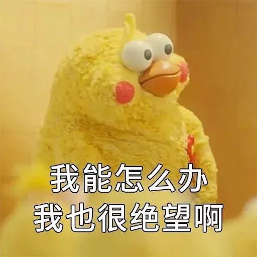 鸚鵡 meme - Sticker 11