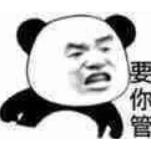 鸚鵡 meme - Sticker 22