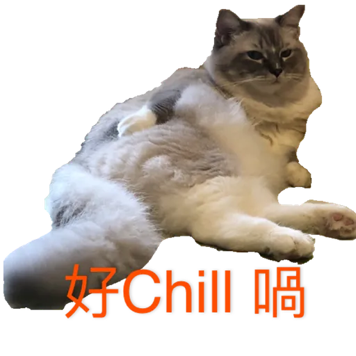 奶茶王 - Sticker 13