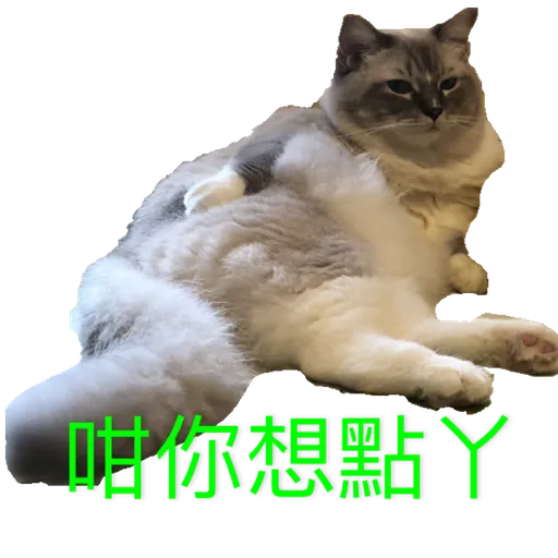奶茶王 - Sticker 14