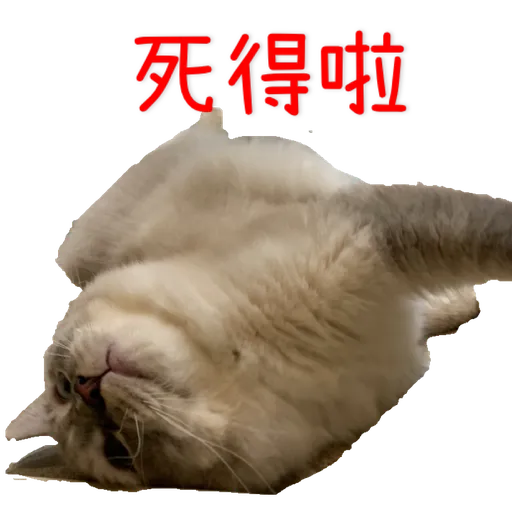 奶茶王 - Sticker 12