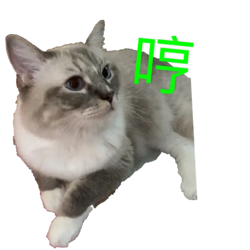 奶茶王 - Sticker 15