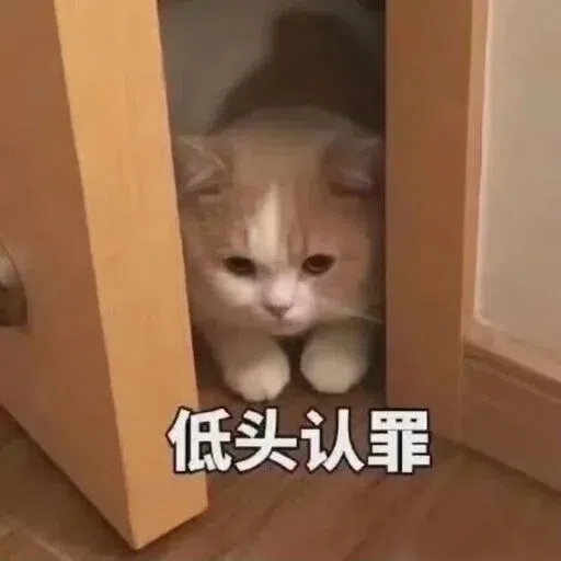 Cat meme - Sticker 16