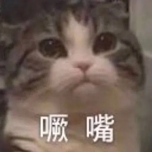 Cat meme - Sticker 24