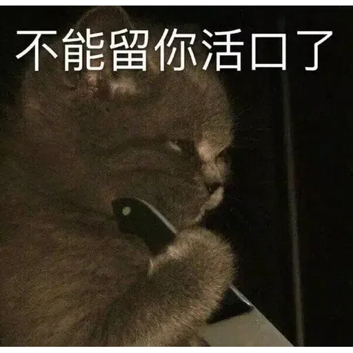 Cat meme - Sticker 26