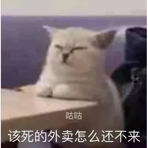 Cat meme - Sticker 15