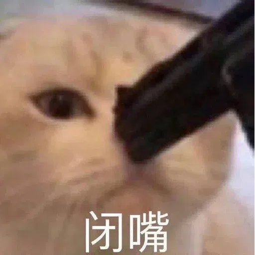 Cat meme - Sticker 22