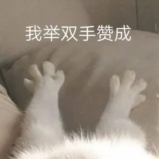 Cat meme - Sticker 23