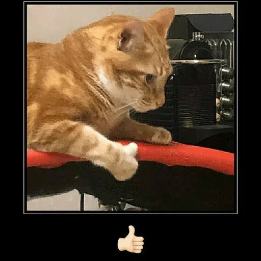 Moods - Sticker 29