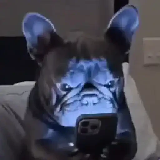 TikTok Animated Memes 10 - Sticker 10