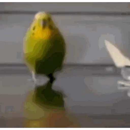 TikTok Animated Memes 10 - Sticker 12