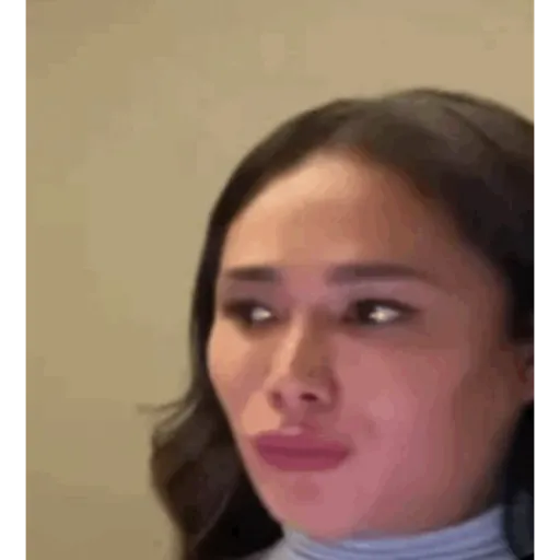 TikTok Animated Memes 10 - Sticker 16