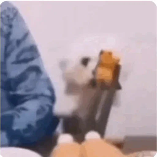 TikTok Animated Memes 10 - Sticker 9