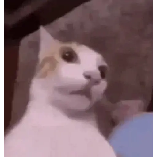 TikTok Animated Memes 10 - Sticker