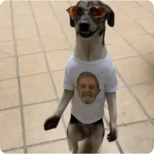 TikTok Animated Memes 10 - Sticker 26