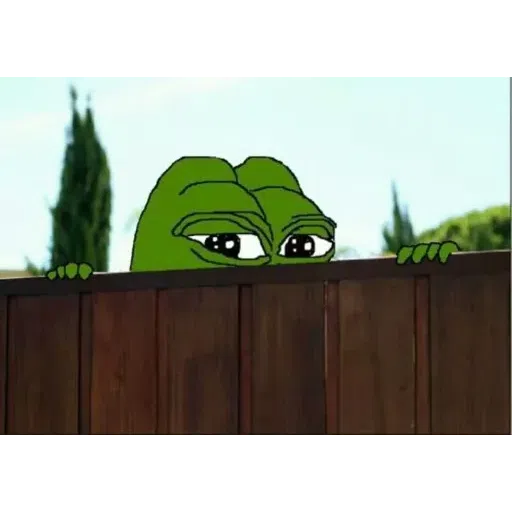 pepe - Sticker 9