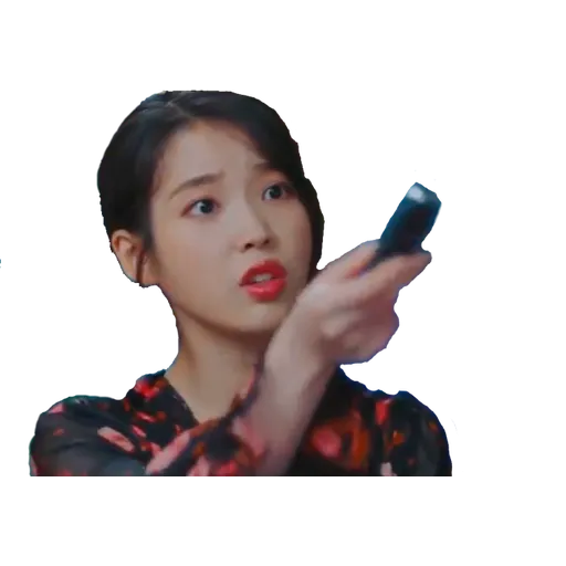 IU-1 - Sticker 12