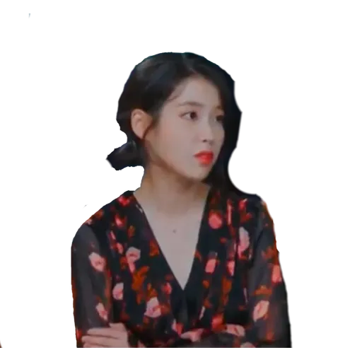 IU-1 - Sticker 9