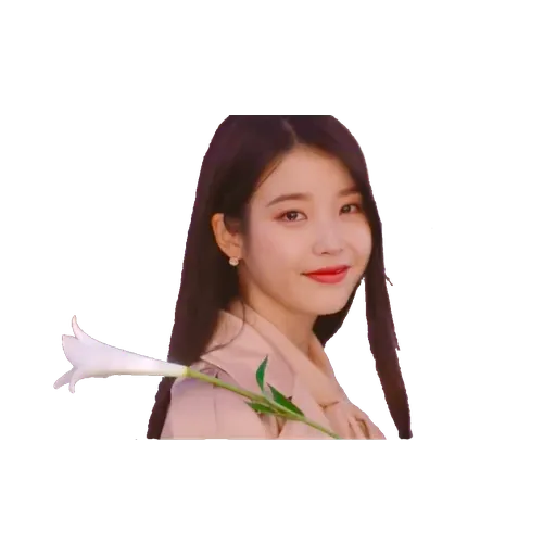 IU-1 - Sticker 11
