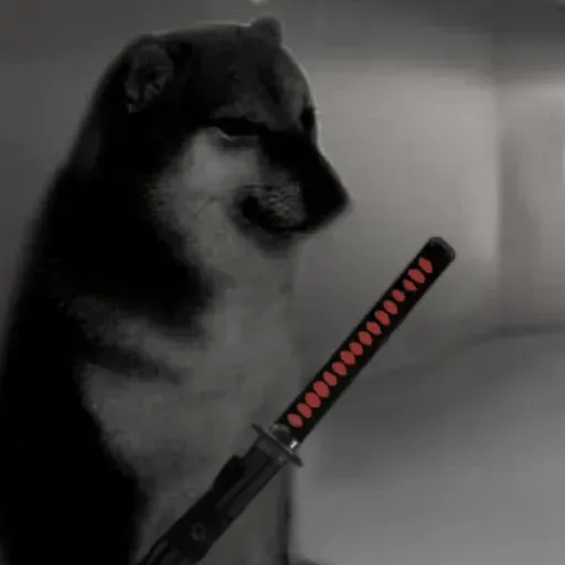 Doge - Sticker 9