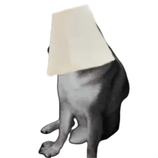 Doge - Sticker 11
