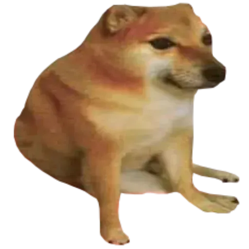 Doge - Sticker 13