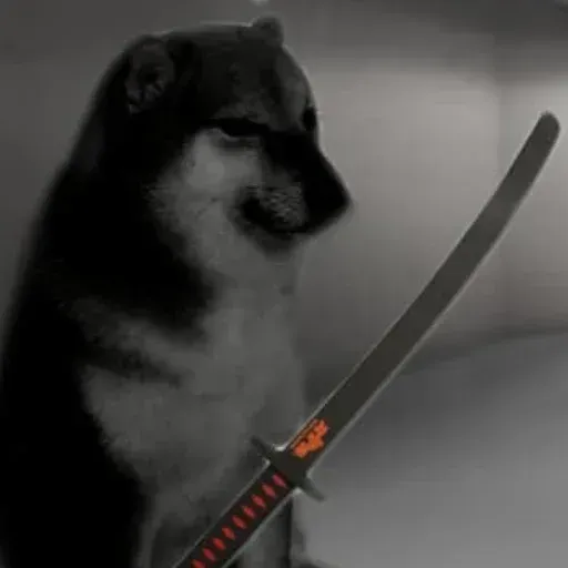 Doge - Sticker 14