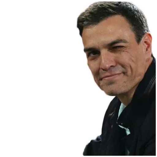 Pedrín - Sticker 13