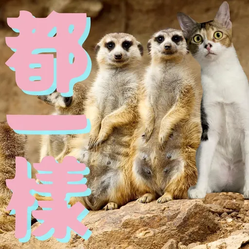 港短閪貓團（動作篇） - Sticker 11