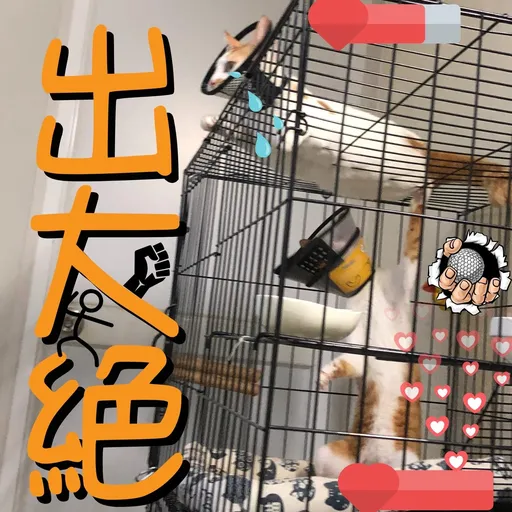 港短閪貓團（動作篇） - Sticker 19