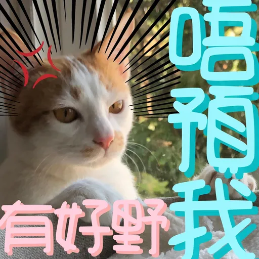 港短閪貓團（動作篇） - Sticker 17