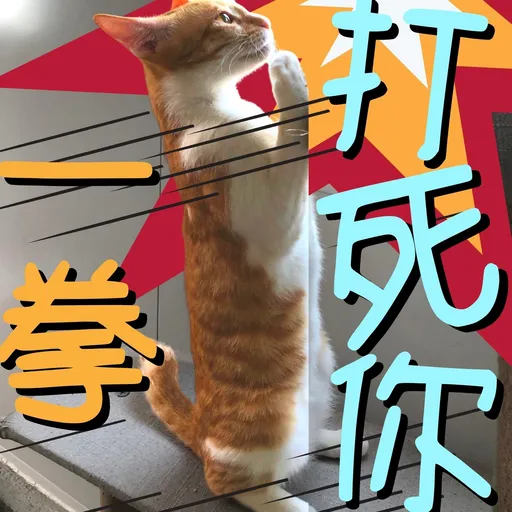 港短閪貓團（動作篇） - Sticker 18