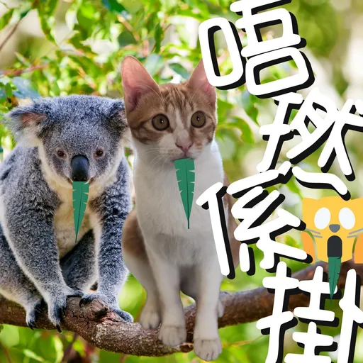 港短閪貓團（動作篇） - Sticker 22