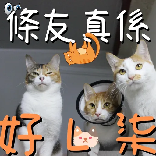 港短閪貓團（動作篇） - Sticker 26