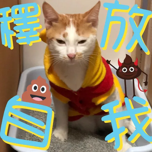 港短閪貓團（動作篇） - Sticker 15