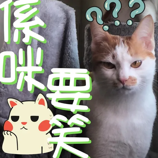 港短閪貓團（動作篇） - Sticker 21