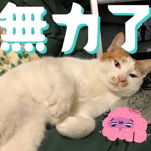 港短閪貓團（動作篇） - Sticker 9