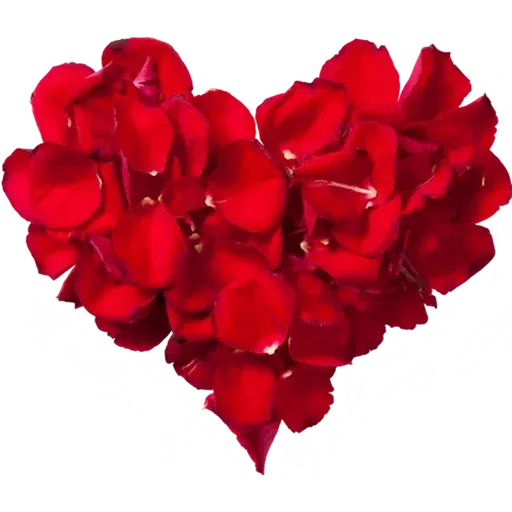 Amor - Sticker 28