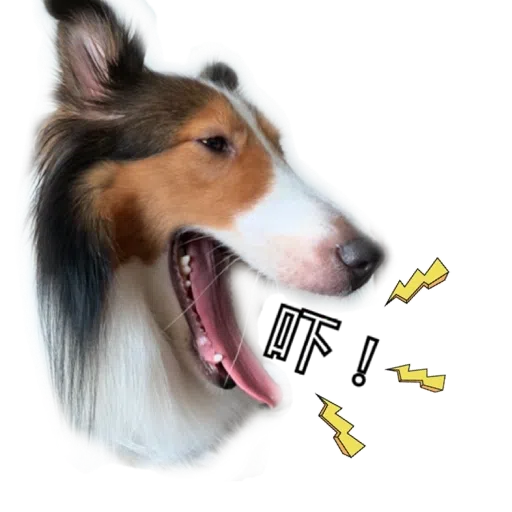 ShaSha - Sticker 18