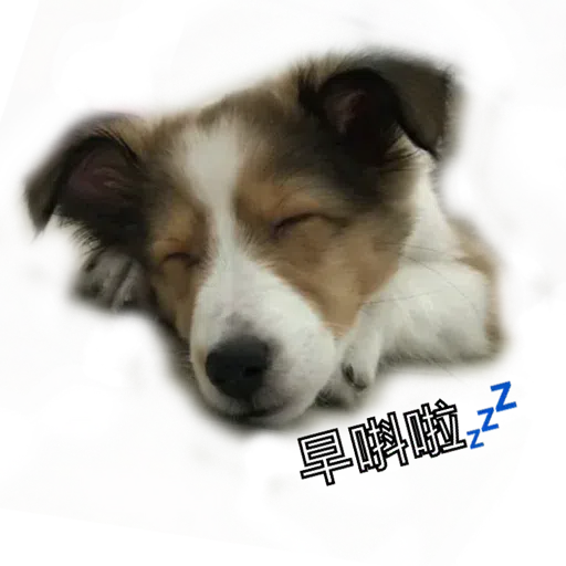 ShaSha - Sticker 12