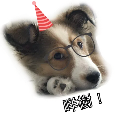 ShaSha - Sticker 14