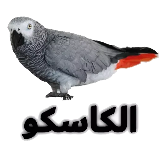 alrumaithi2 - Sticker 27