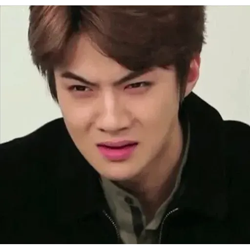 EXO MEME 2 - Sticker 26