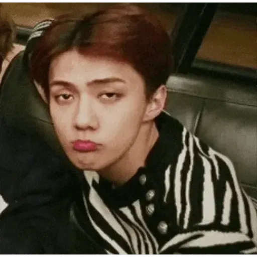 EXO MEME 2 - Sticker 18