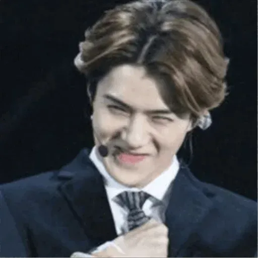 EXO MEME 2 - Sticker 14