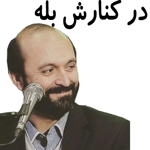 navid - Sticker 14