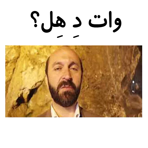 navid - Sticker 22