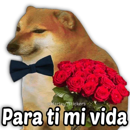 Lau - Sticker 19