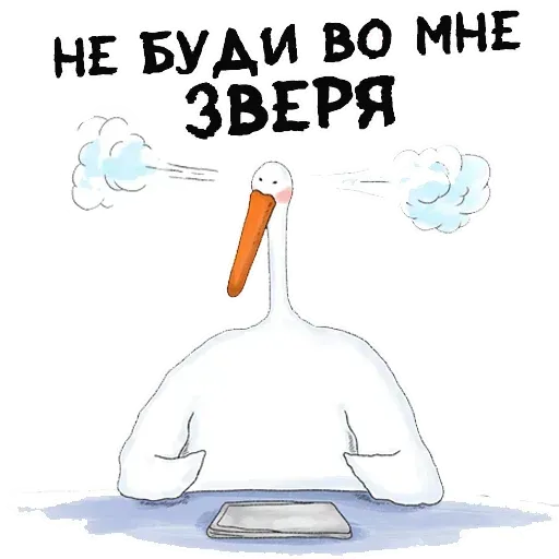 Net - Sticker 29
