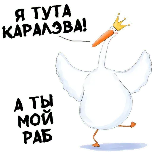 Net - Sticker 11